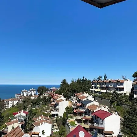 Sehir Merkezinde